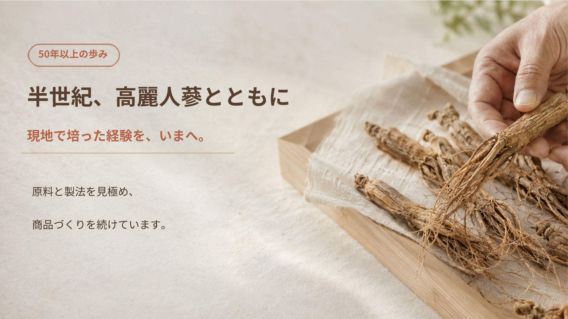 半世紀、高麗人参とともに